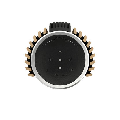 Beolab 28