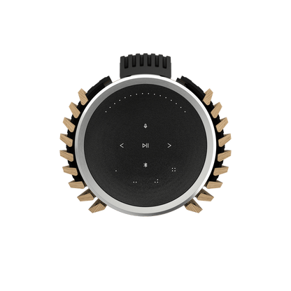Beolab 28