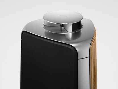 Beolab 50 (Ex-Demo 2 Years Warranty)