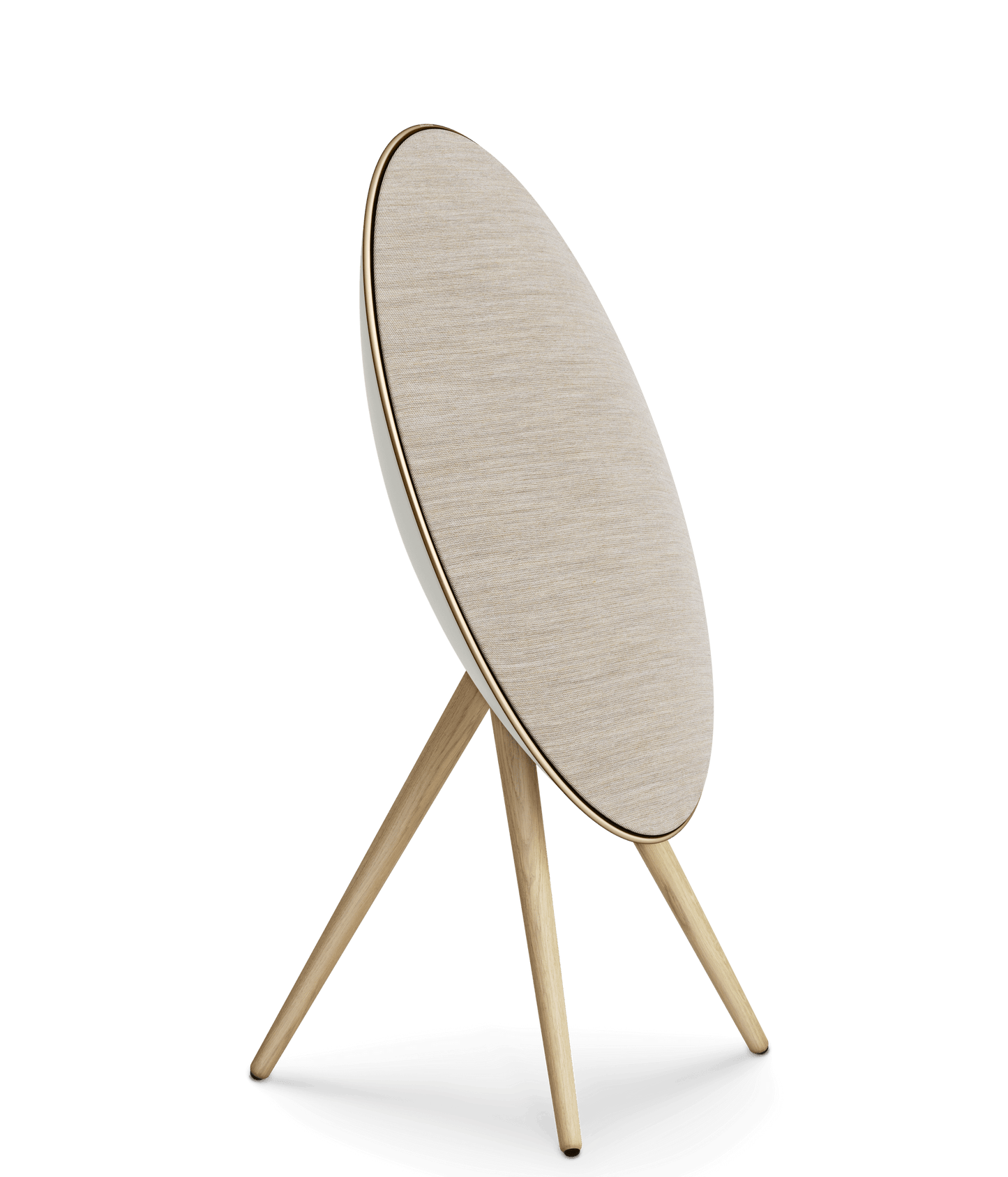 Beosound A9 5th Gen