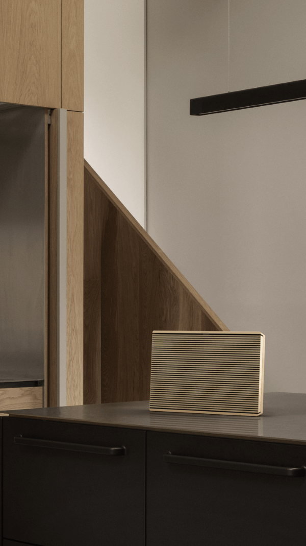 Beosound Level GVA (Ex-Demo 2 Years Warranty)