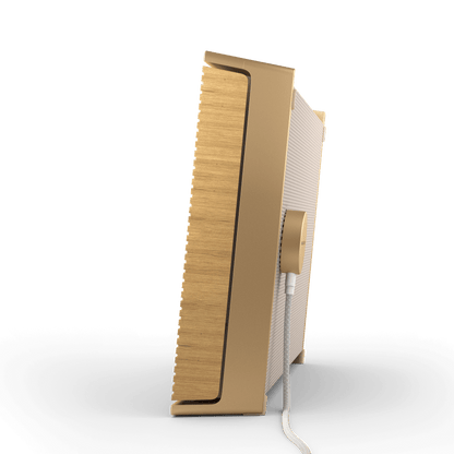 Beosound Level
