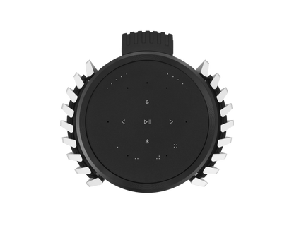 Beosystem 9000C