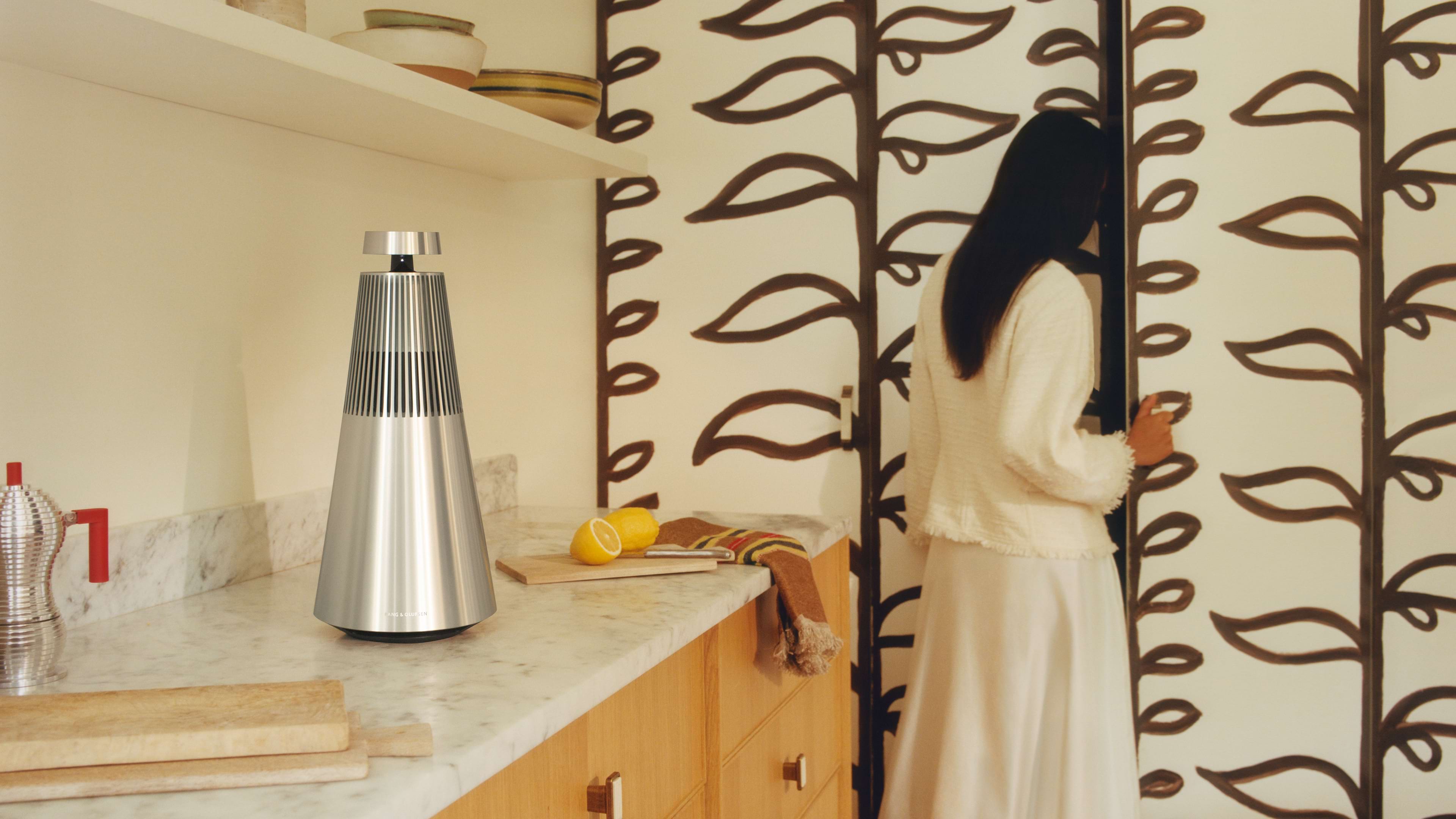 Beosound 2 3rd Gen NZ Premium Wireless Speaker – Bang & Olufsen